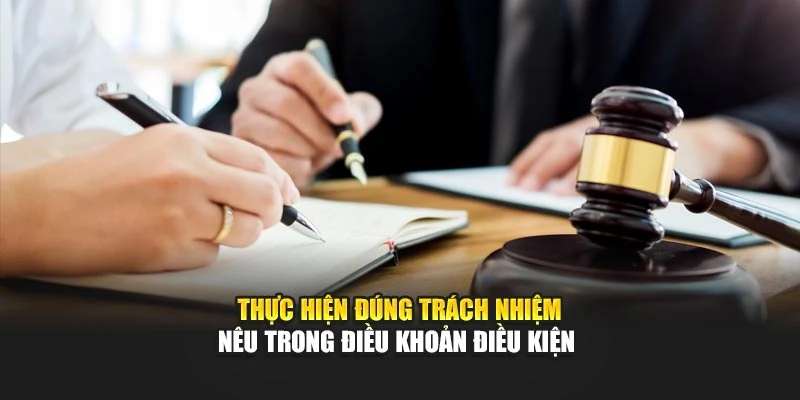 Thực hiện đúng trách nhiệm nêu trong điều khoản điều kiện